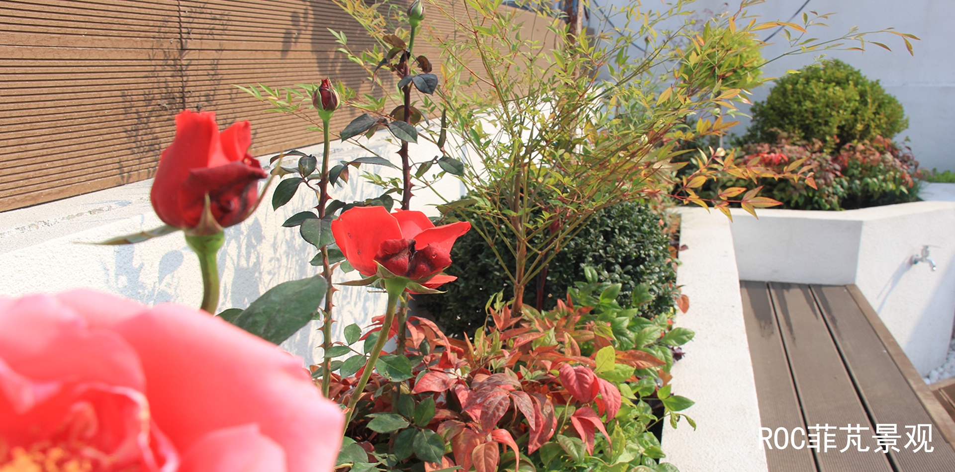 塔斯汀屋顶花园·济南