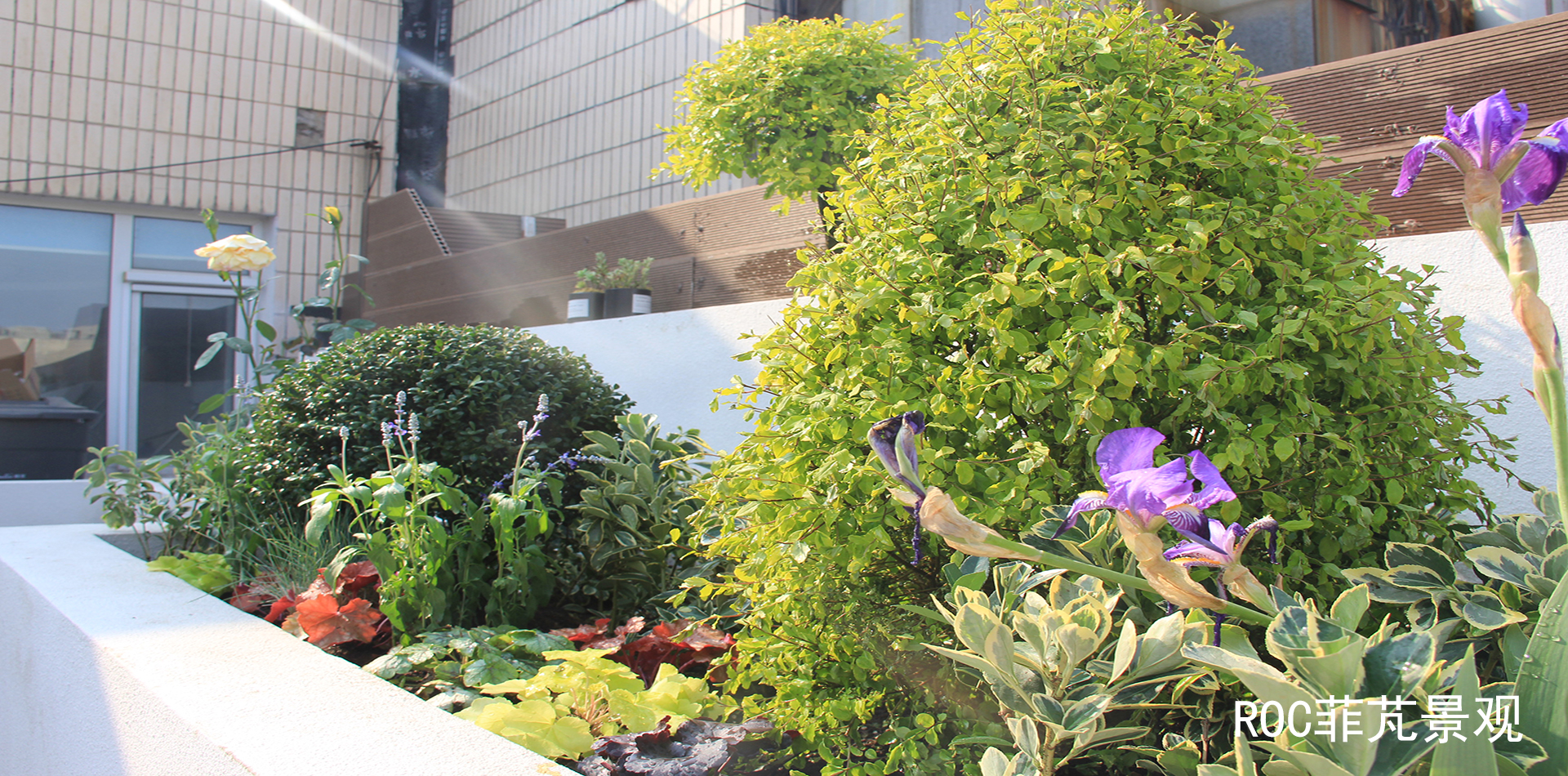 塔斯汀屋顶花园·济南