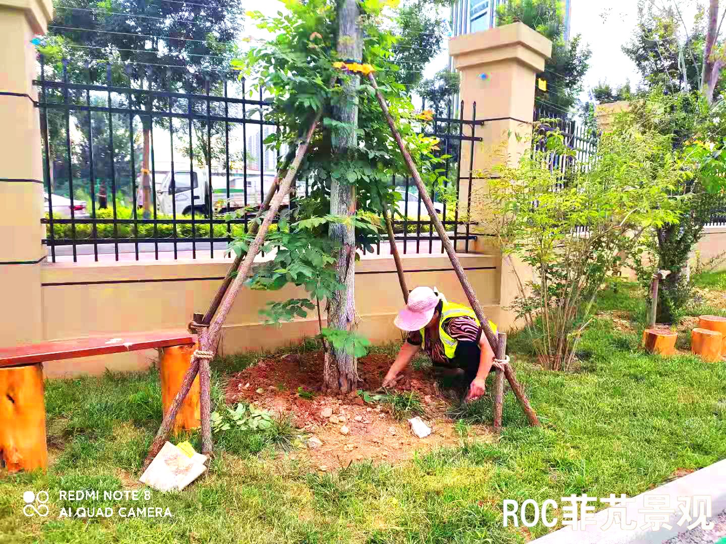 菲芃景观·春夏养护