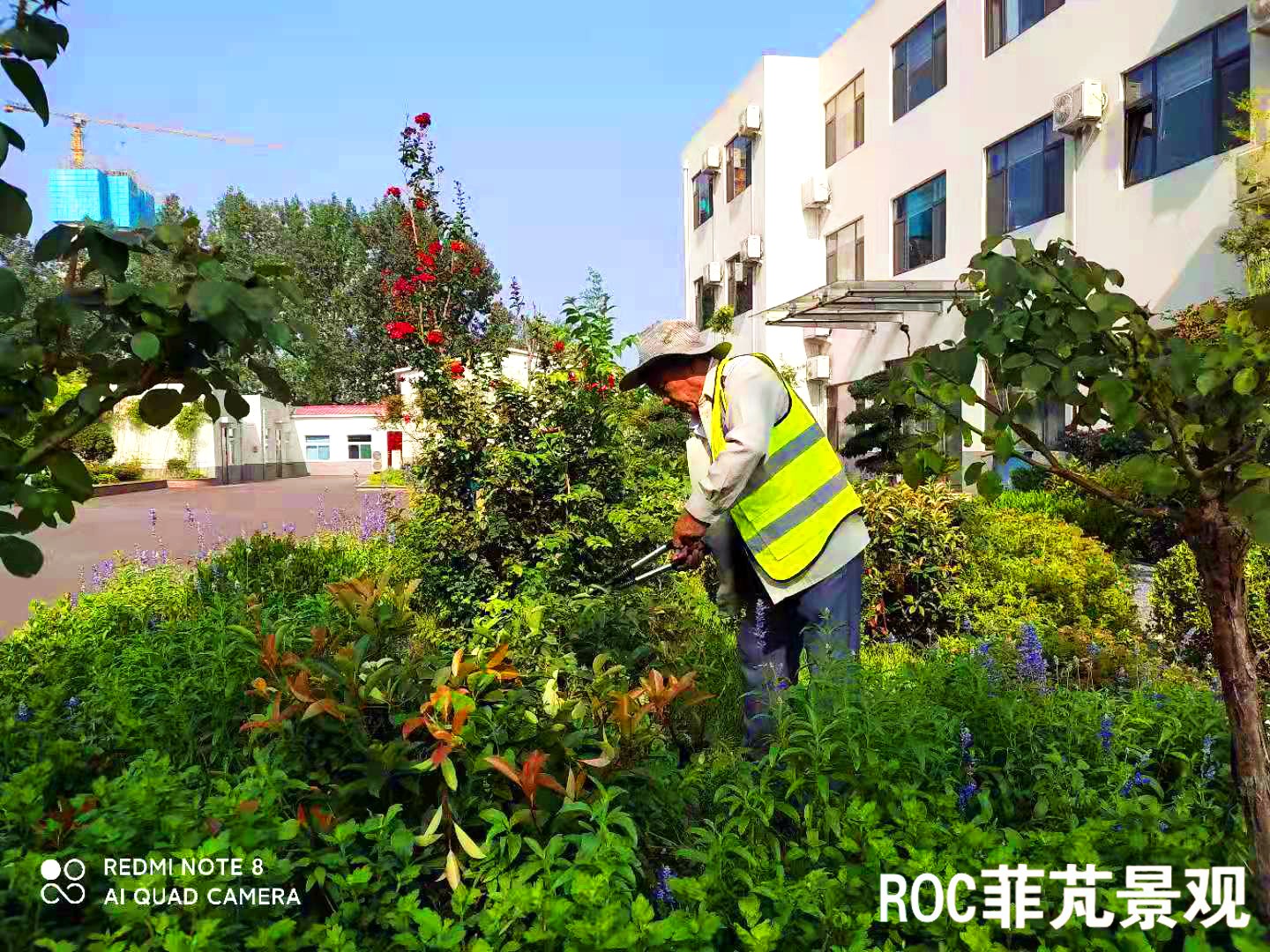 菲芃景观·秋冬养护