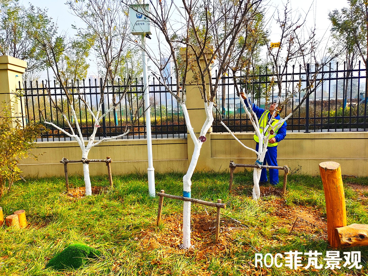 菲芃景观·秋冬养护