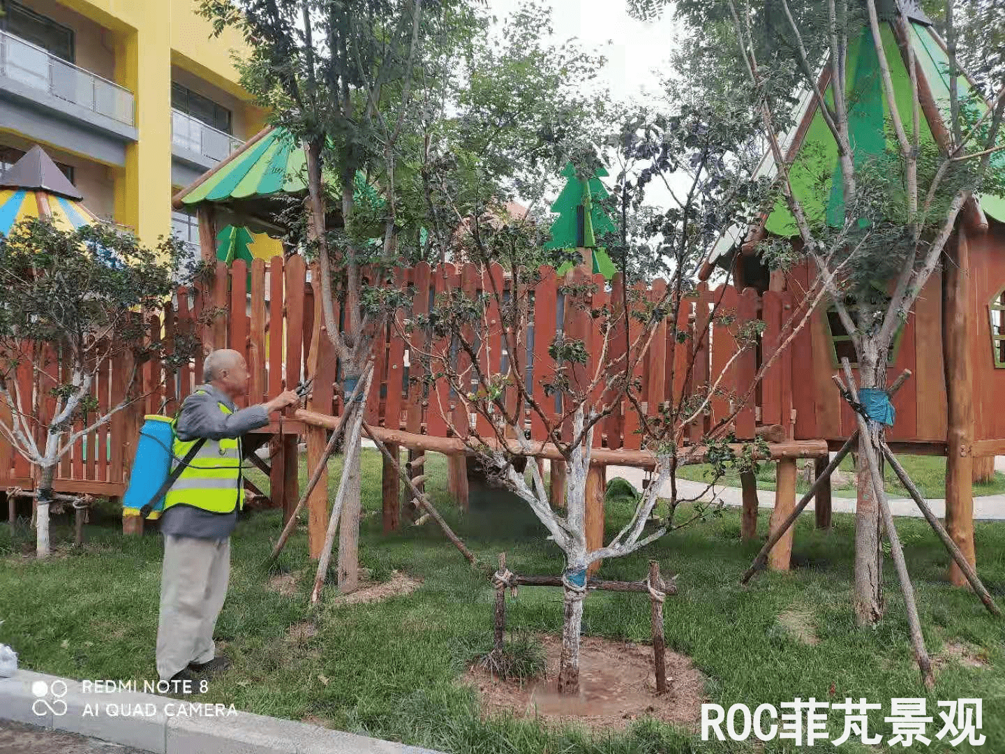 夏季养护-历下三幼