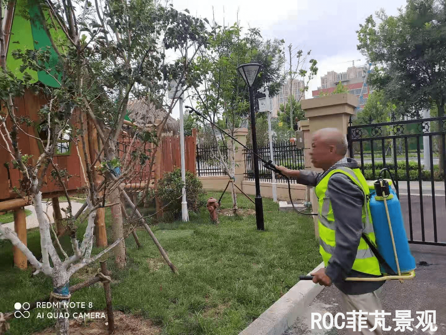 夏季养护-历下三幼