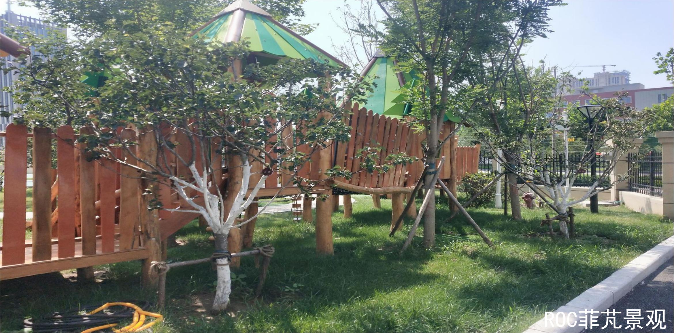 夏季养护·济南市第一实验幼教集团