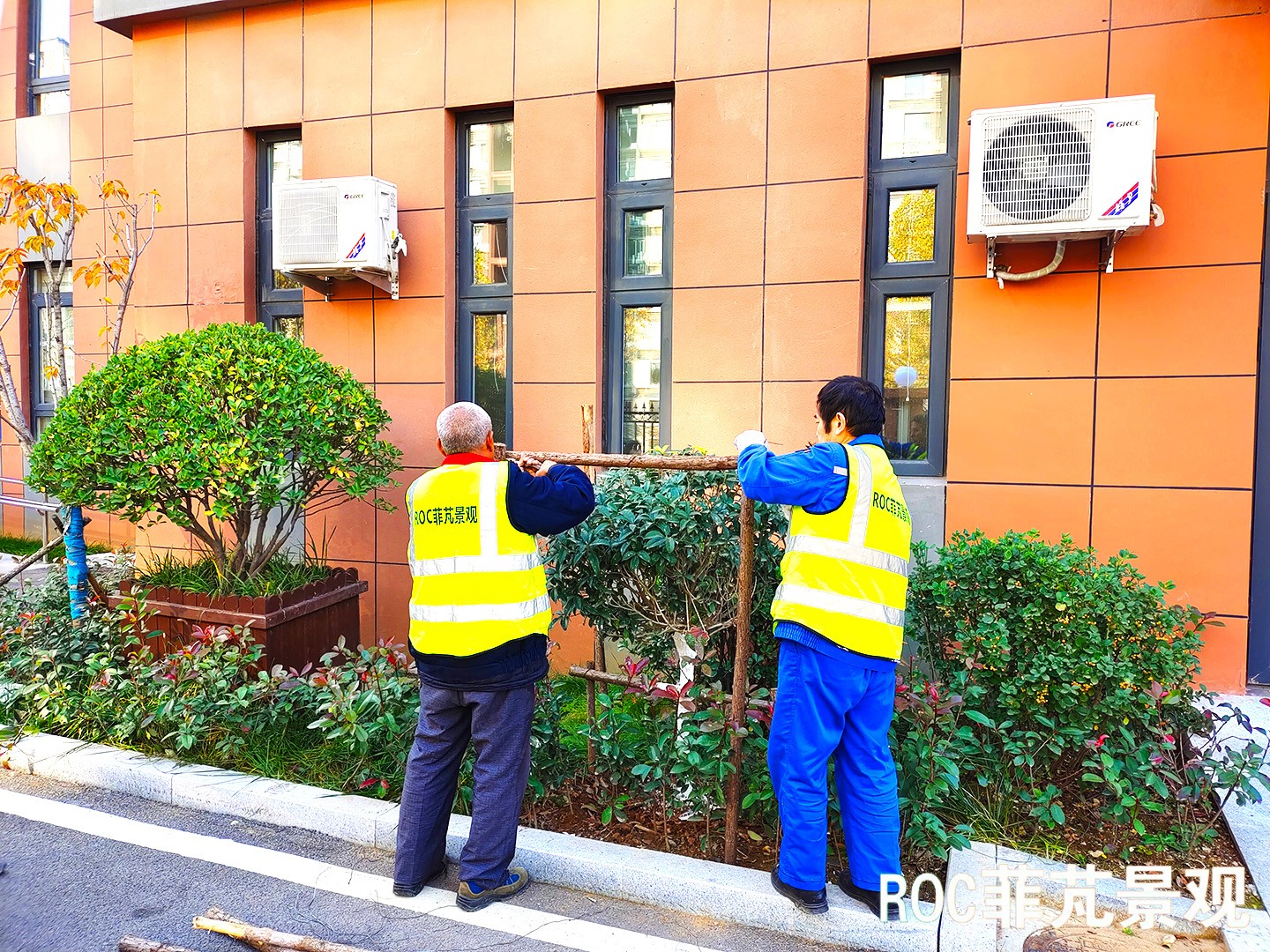 菲芃景观·秋冬养护