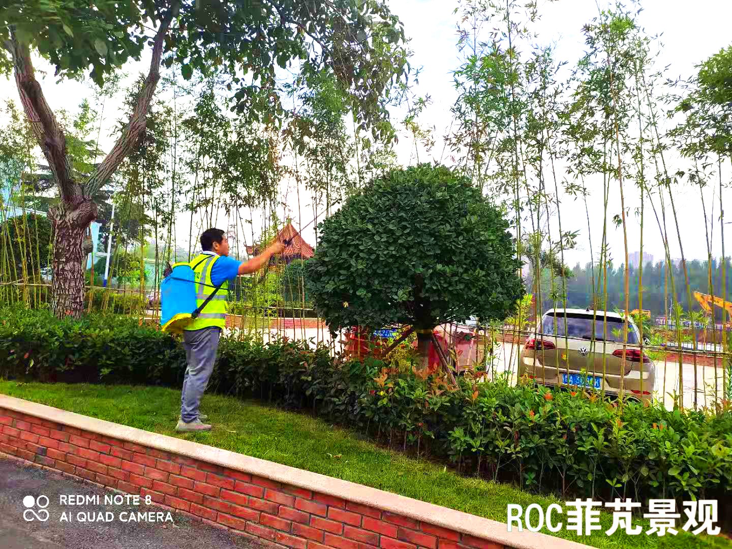 菲芃景观·春夏养护