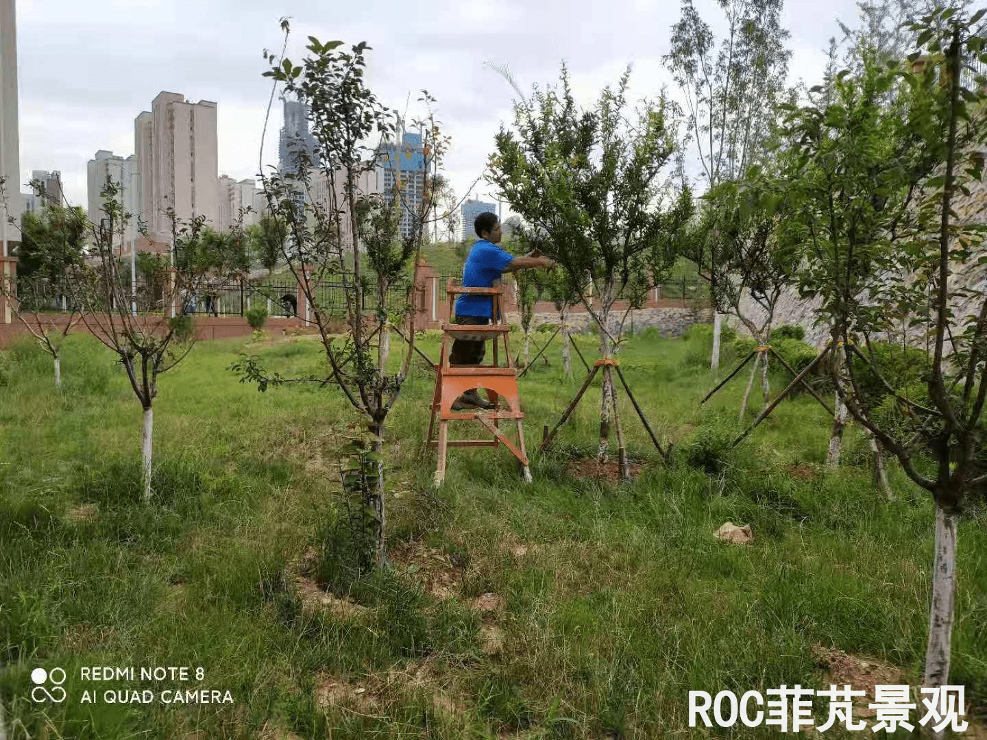 夏季养护-历下三幼