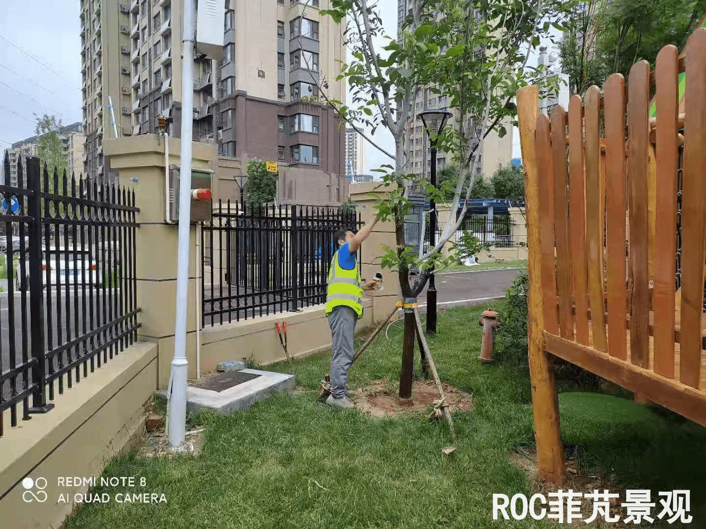 夏季养护-历下三幼