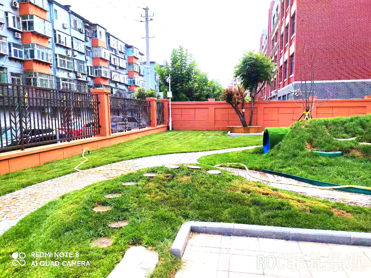 菲芃景观·春夏养护