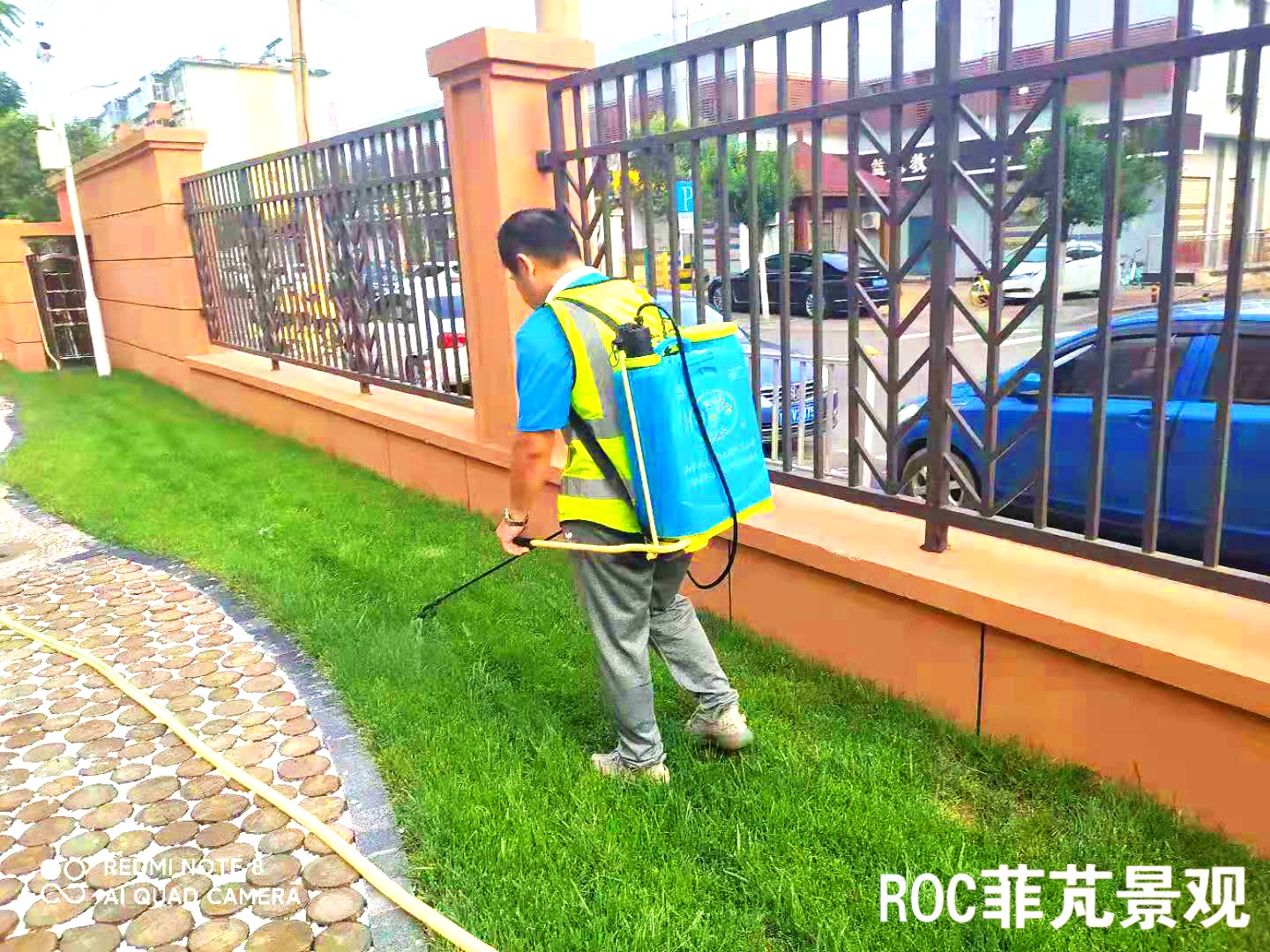 菲芃景观·春夏养护