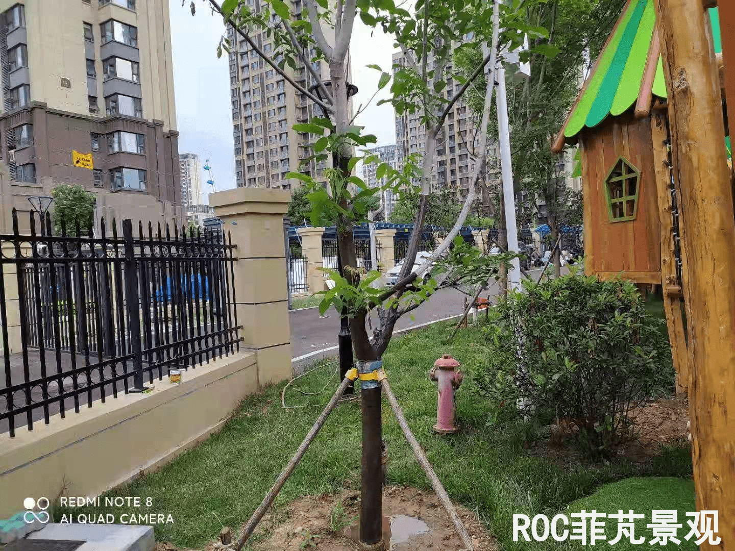 夏季养护-历下三幼