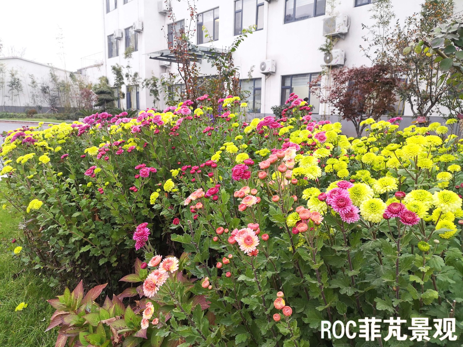 菲芃景观·秋冬养护