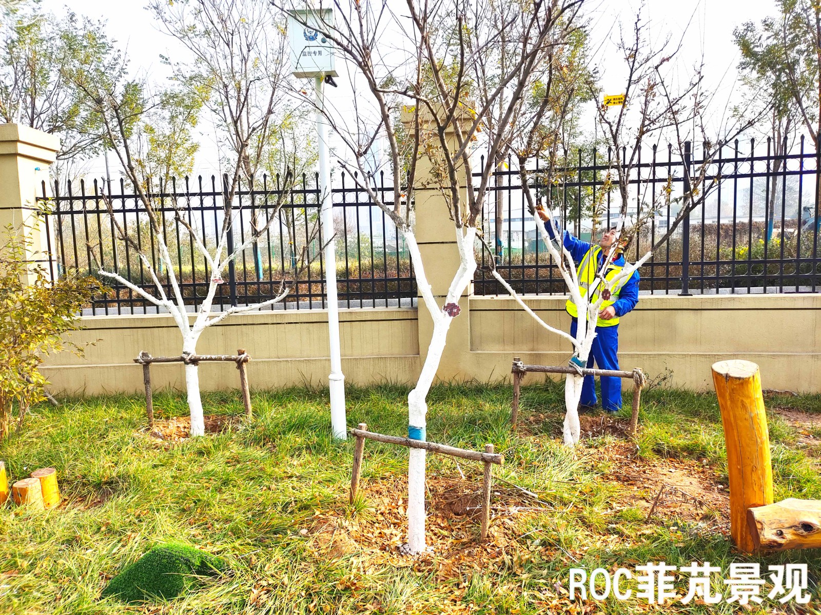 菲芃景观·秋冬养护