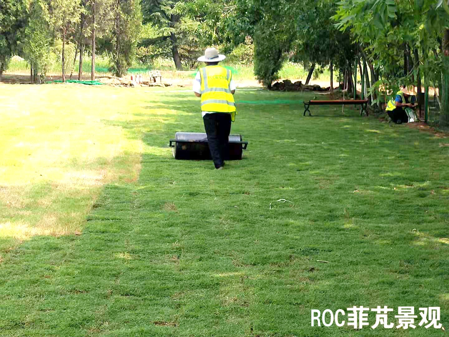 菲芃景观·春夏养护