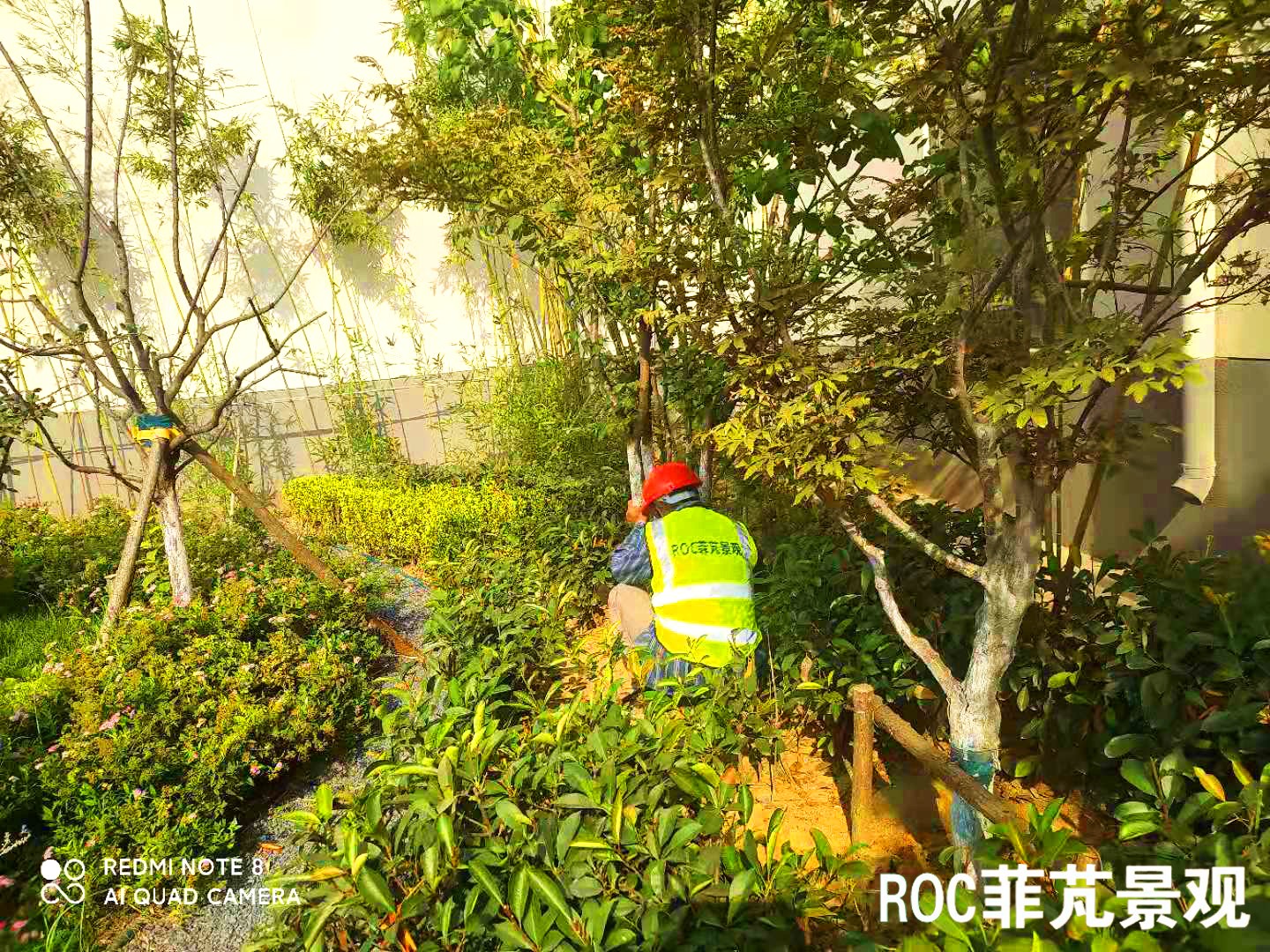 菲芃景观·秋冬养护