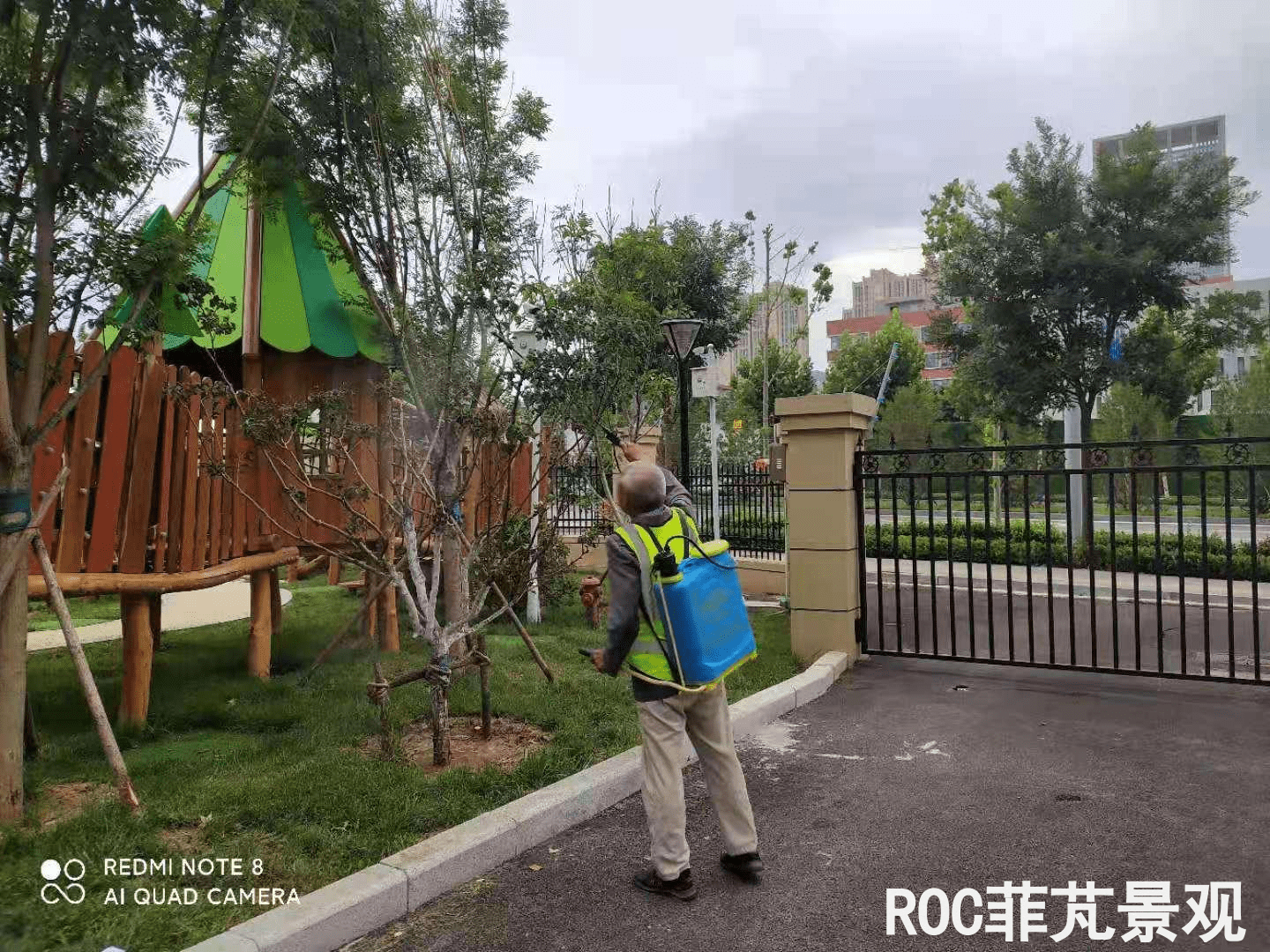 夏季养护-历下三幼