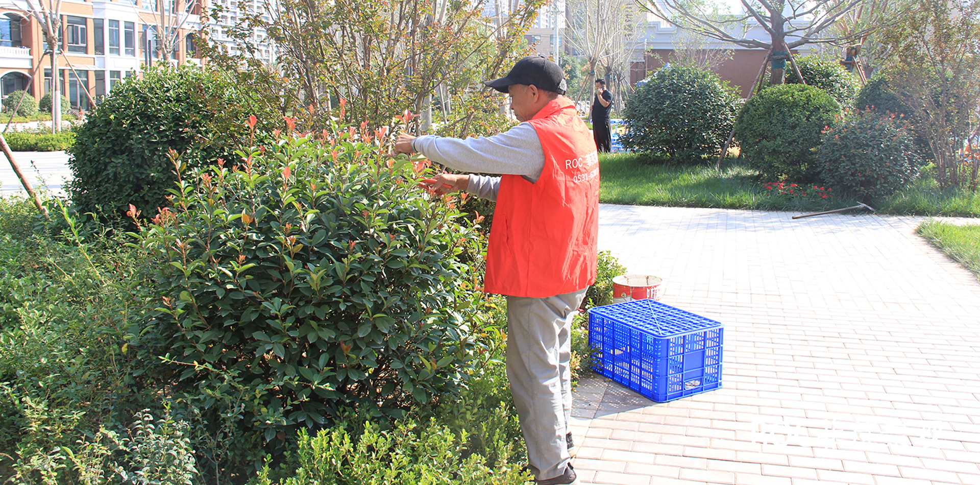 秋冬养护·九月