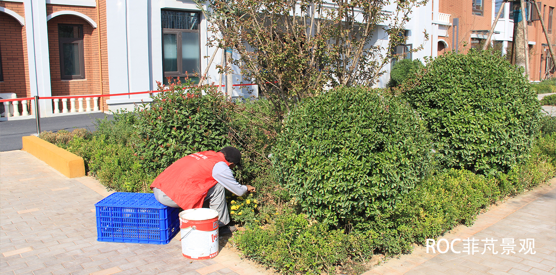 秋冬养护·九月