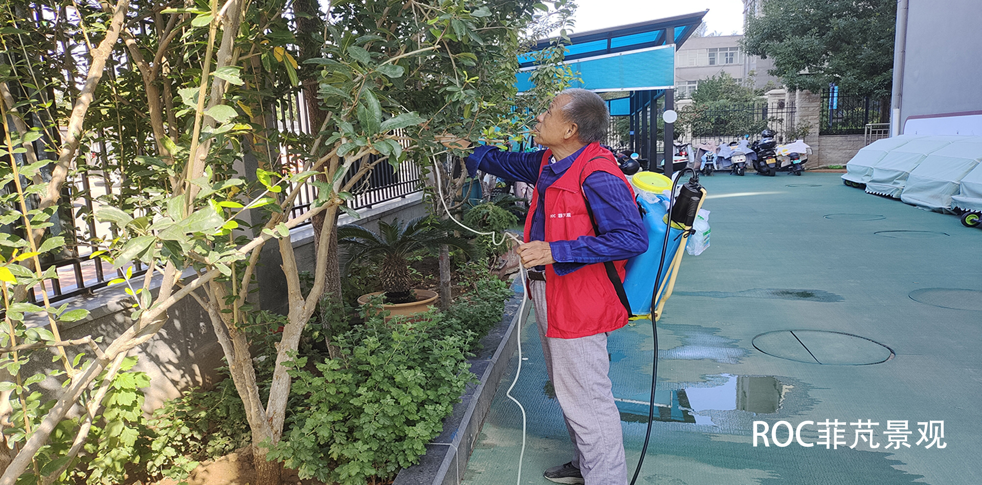 秋冬养护·十月