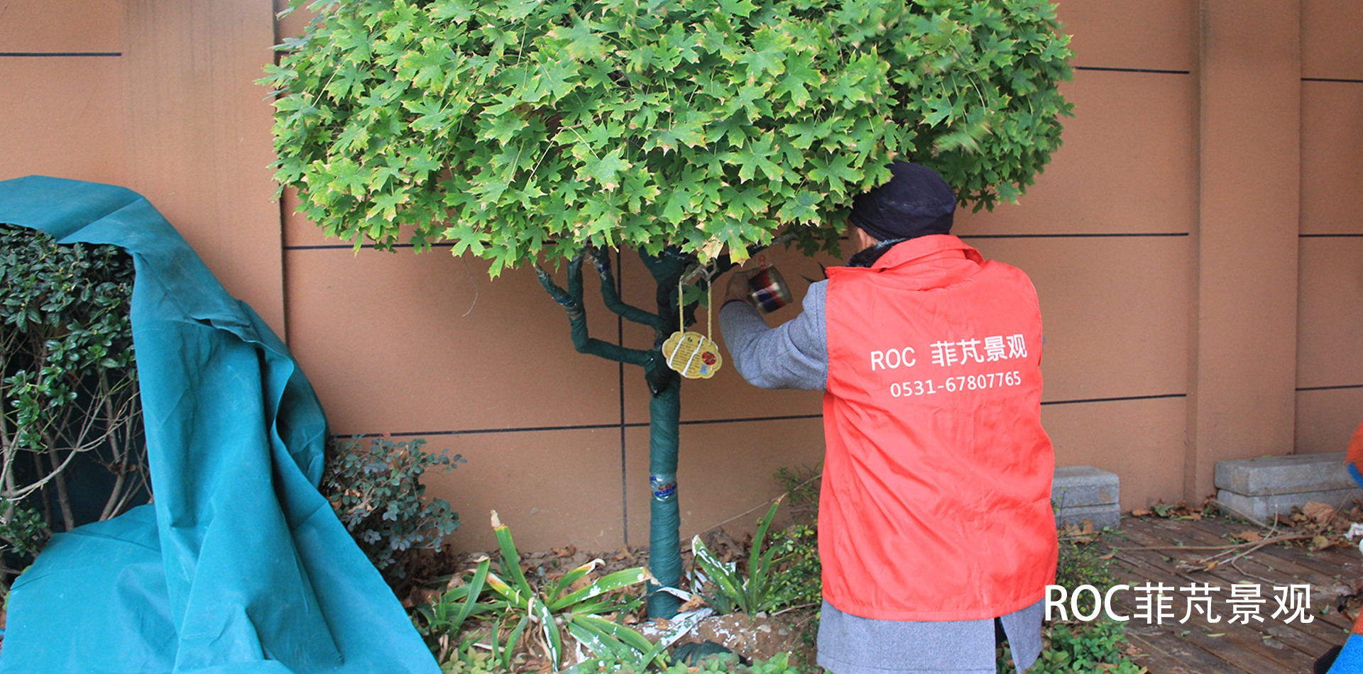 秋冬养护·十一月