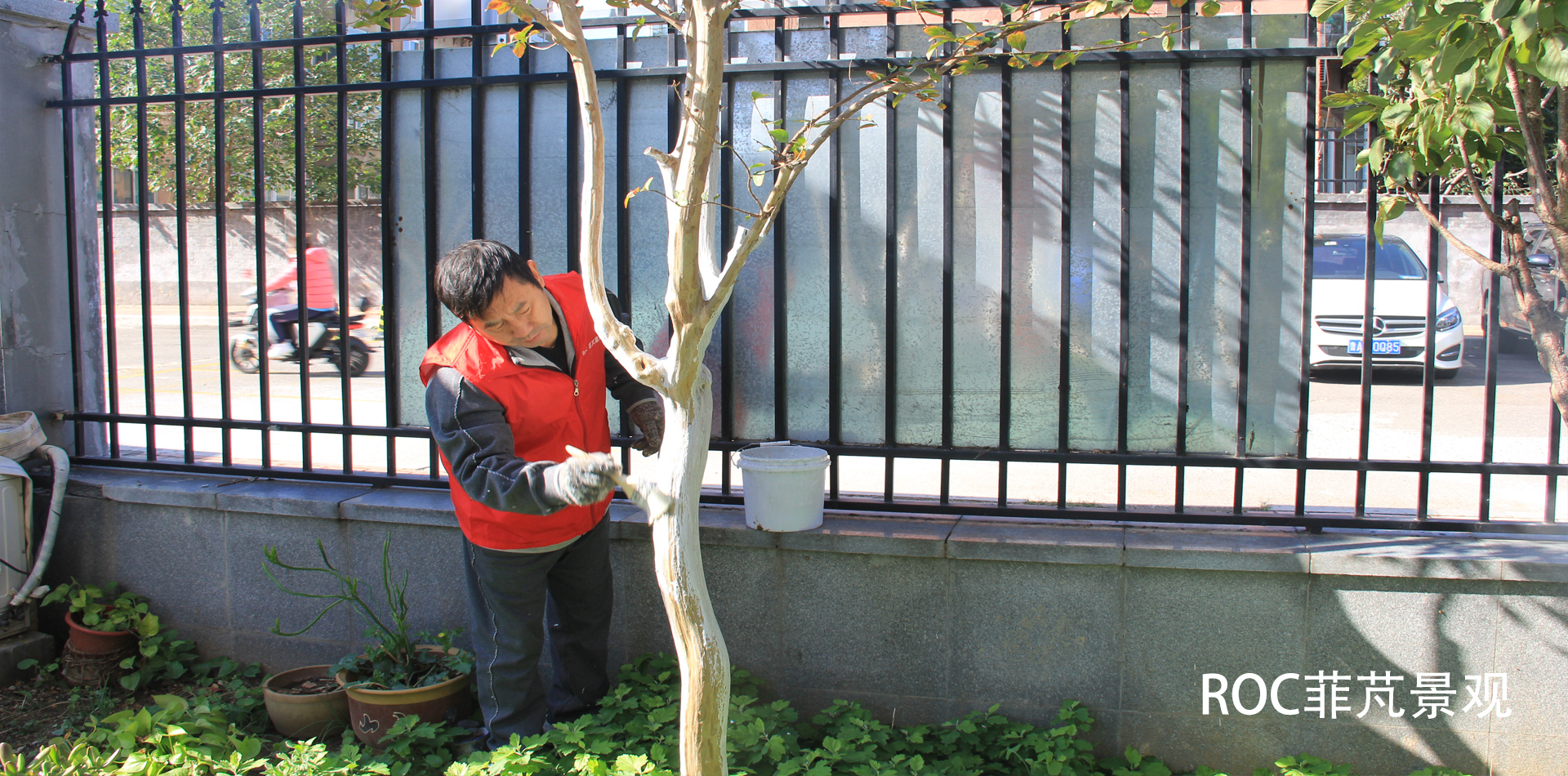 秋冬养护·十一月