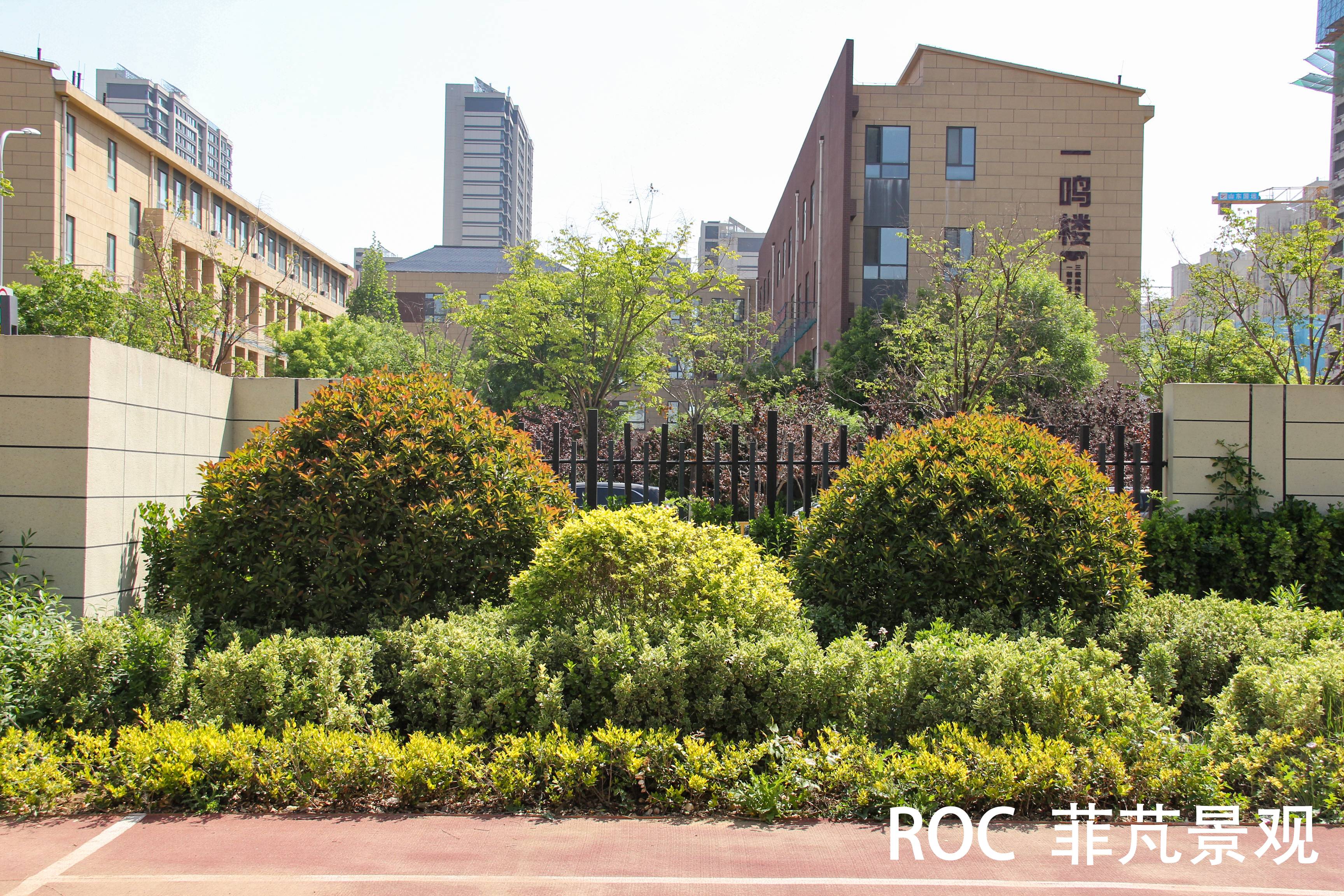 菲芃景观·春季养护