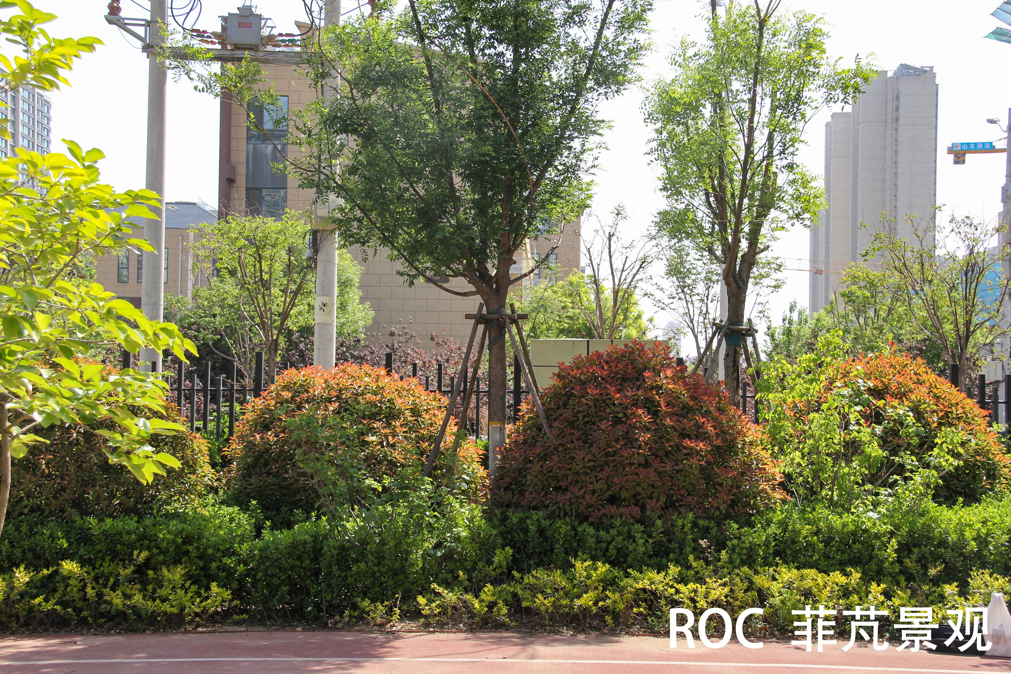 菲芃景观·春季养护