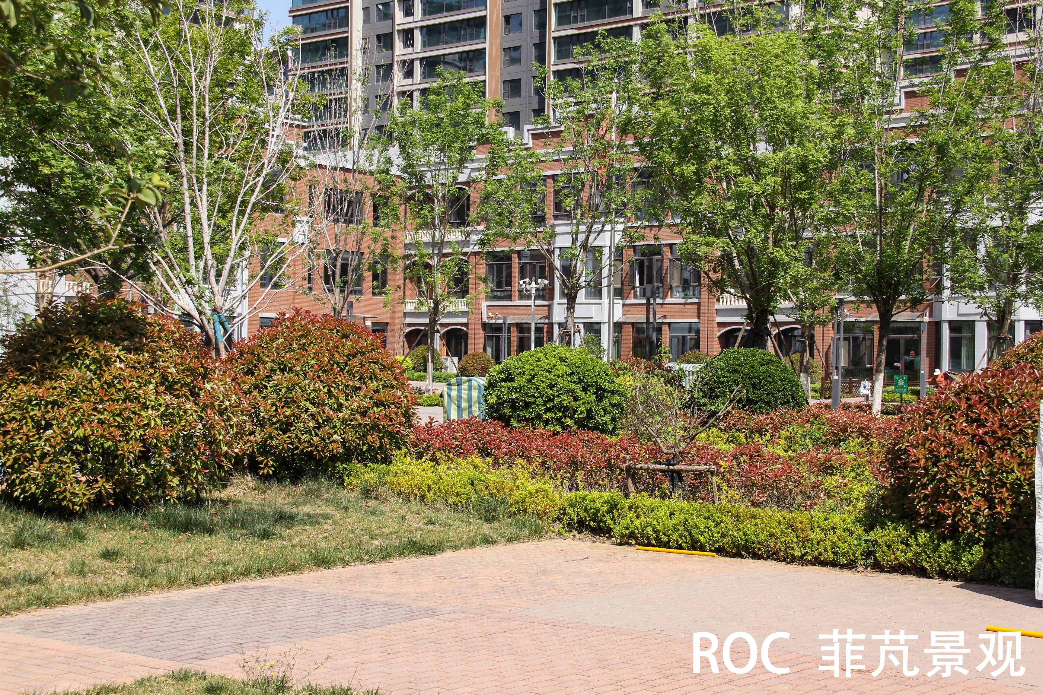 菲芃景观·春季养护